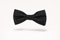The Piccadilly Celebration | Luxury Men's Bow Tie Collection